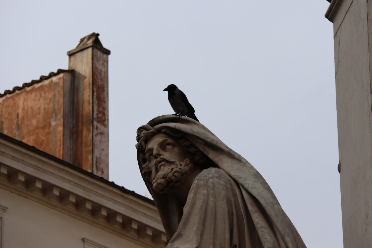 A small black bird perched on the head of a weathered stone statue